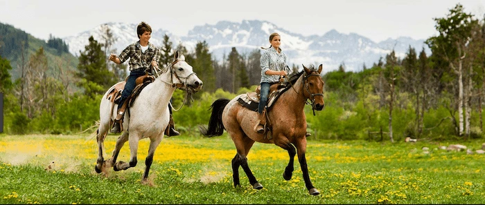 Confident plus-size woman riding Thetford a horse through a field with a smile on her face.